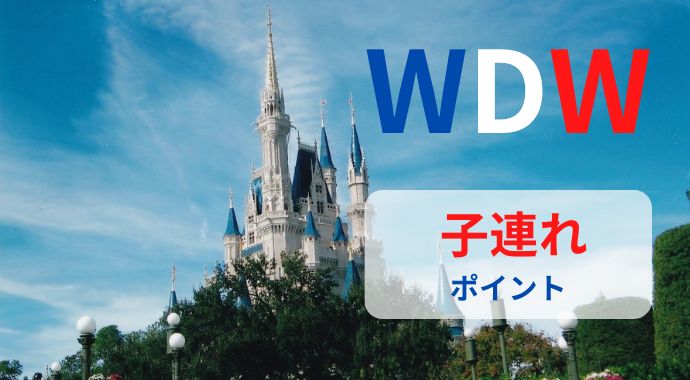 【WDW】子連れでも飛行機を快適に！失敗しないポイント9つ